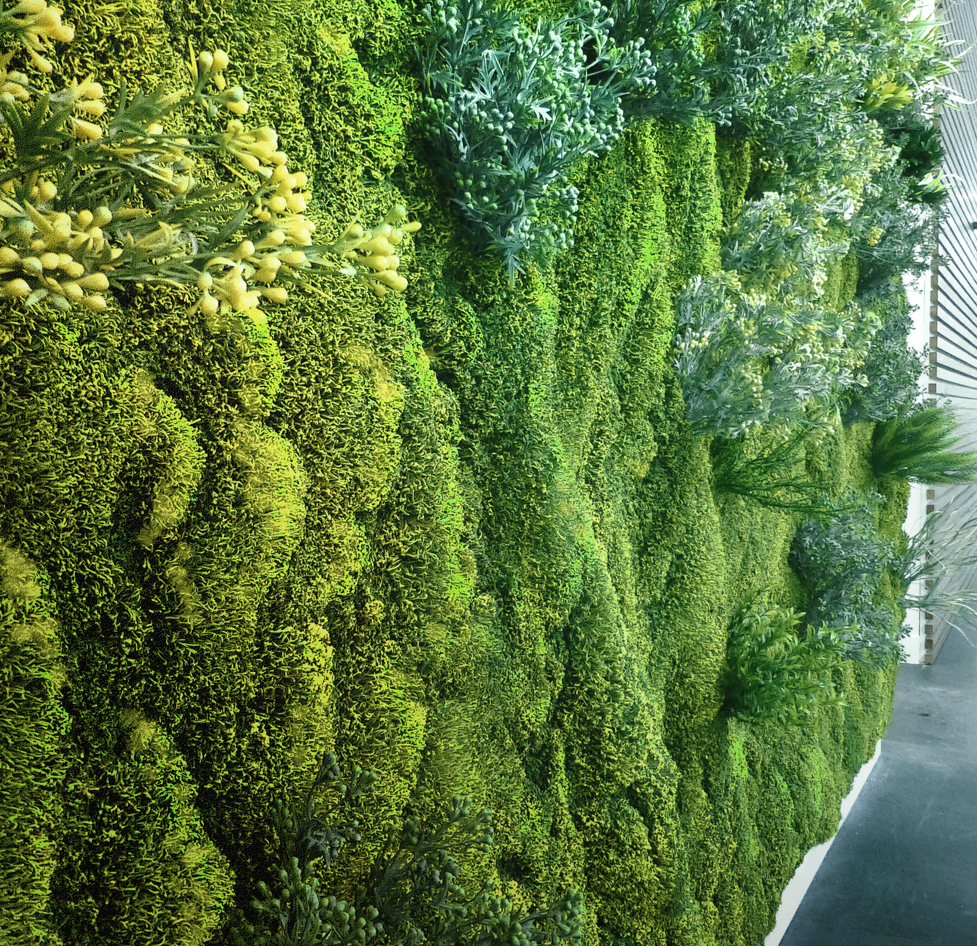 Terrazas y exteriores