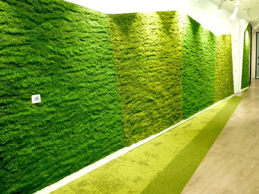 AXA, foto 2