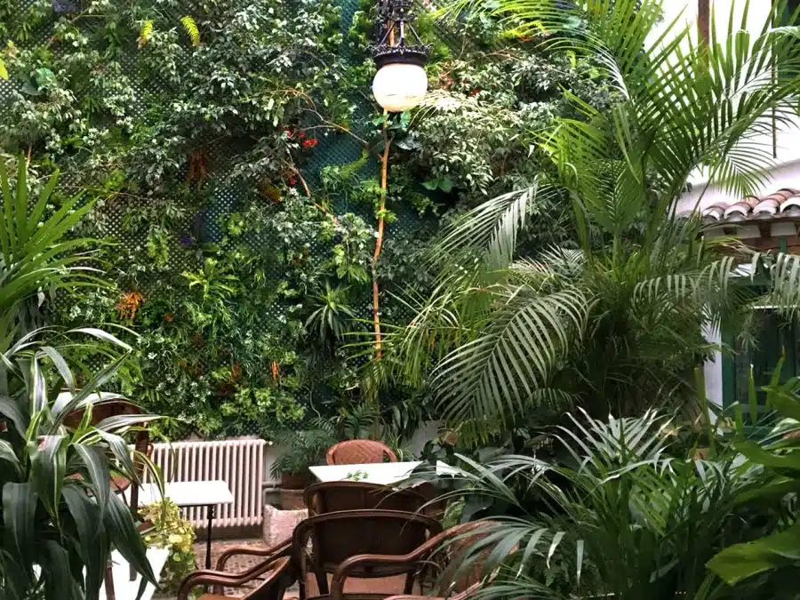 Café de la Iberia, foto 3