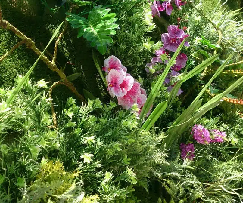 Jardín secreto para TV, foto 5
