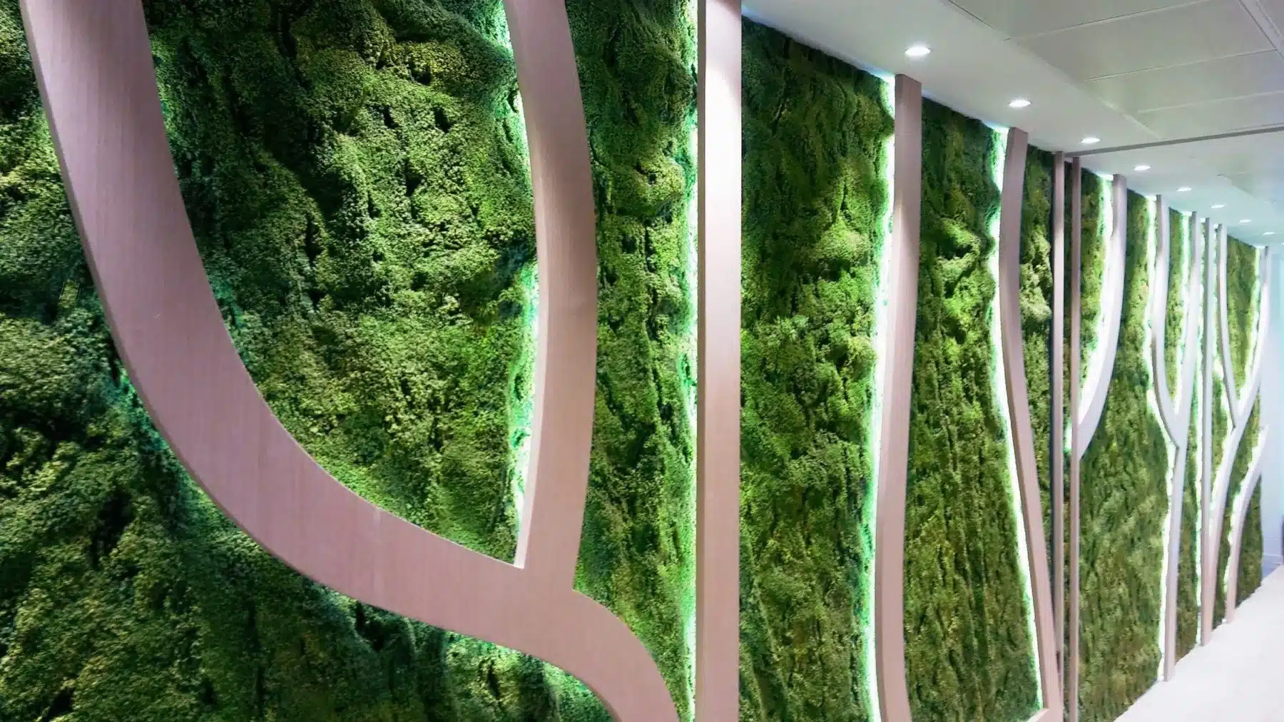 Muro de musgo retroiluminado entre lamas curvas de madera en las oficinas de Hilti
