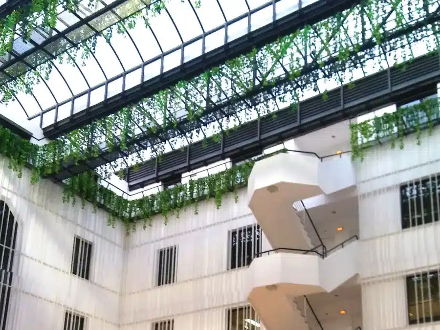 Iberdrola, foto 4