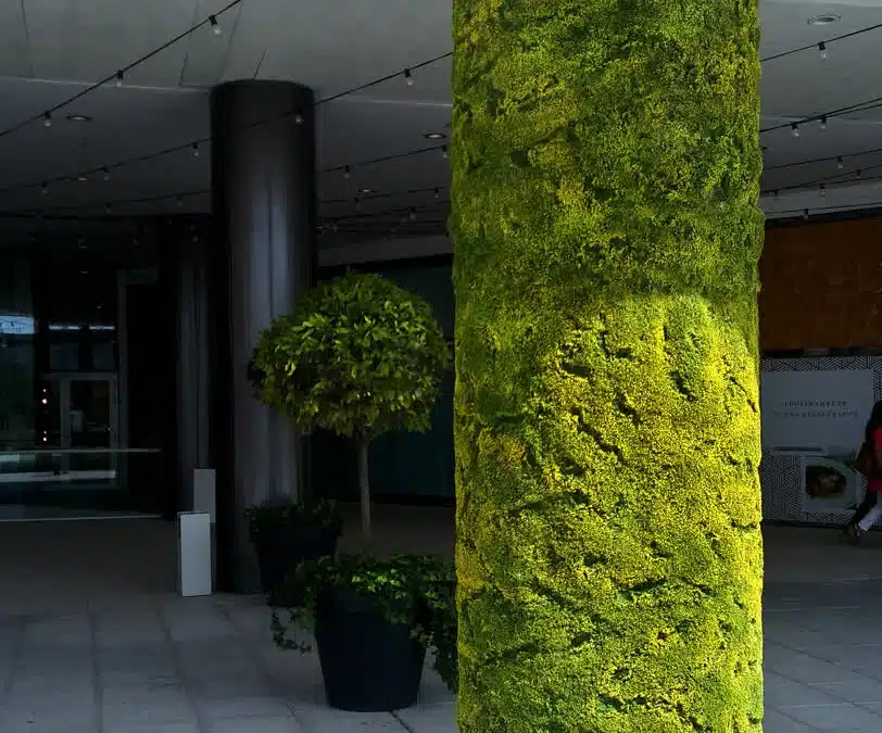 Moraleja Green, foto 4
