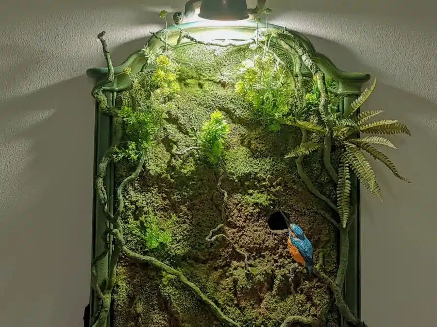 Paludarios, Ecosistemas vivos
