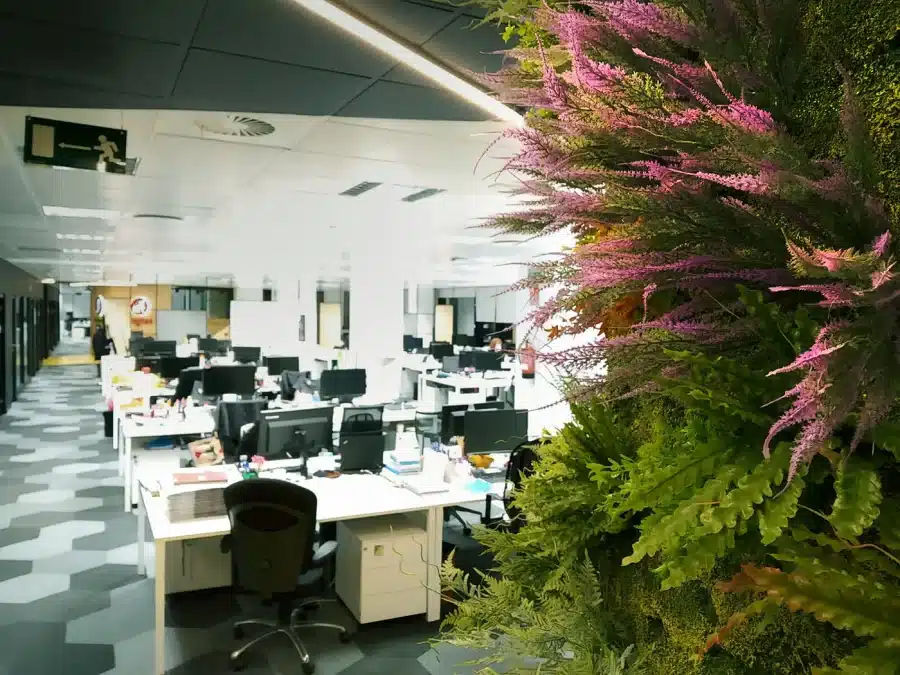 Zenith, foto 3